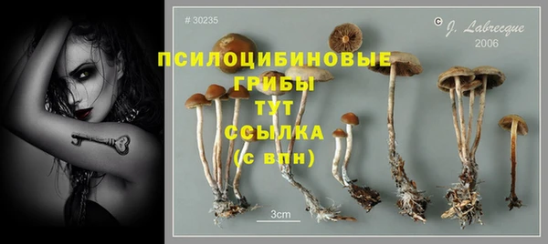 гидра Белоозёрский