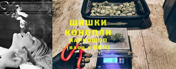 Альфа ПВП Белокуриха
