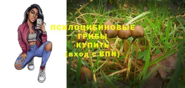 гидра Белоозёрский