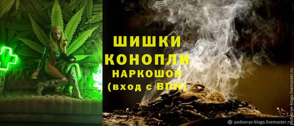 крисы Канск