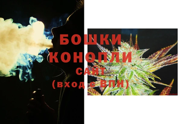 гидра Белоозёрский