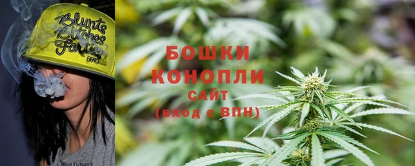 гидра Белоозёрский